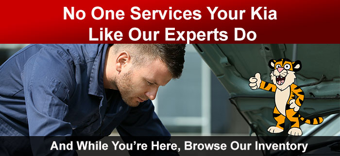 No One Services Your Kia Like Our Experts Do