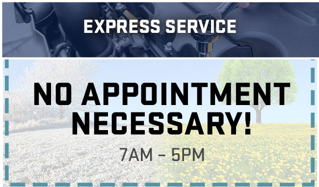 Express Service-No appointment necessary