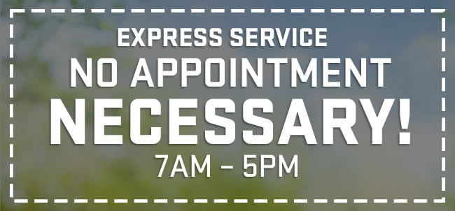 Express Service - No Appointment Necessary