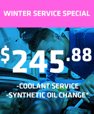 $245.88 Winter Service Special