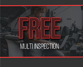 Free Multi point inspection