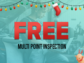 Free Multi point inspection