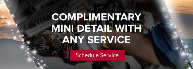 complimentary mini detail with any service