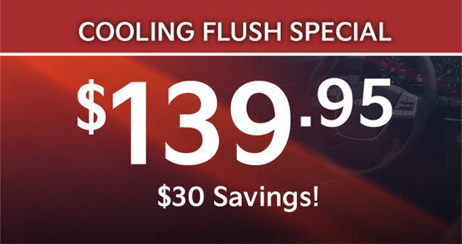 cooling flush service special