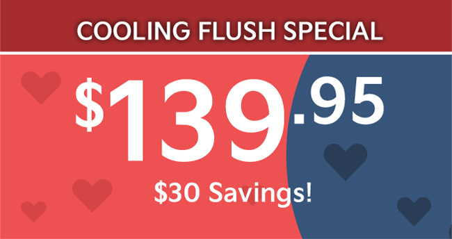 cooling flush service special