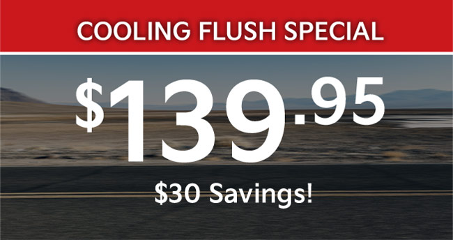 cooling flush service special
