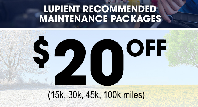 Lupient Recommended Maintenance Packages
