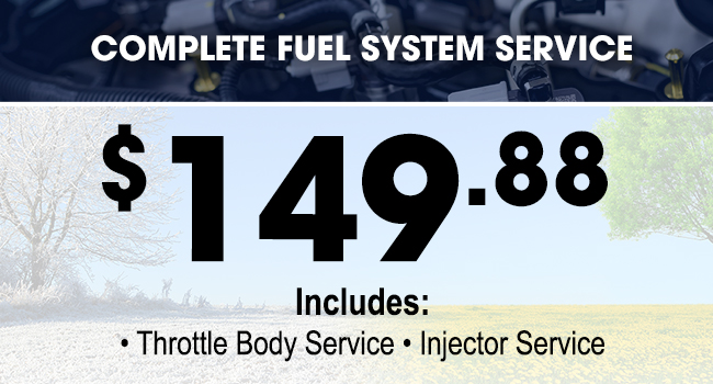 Complete Fuel System Service