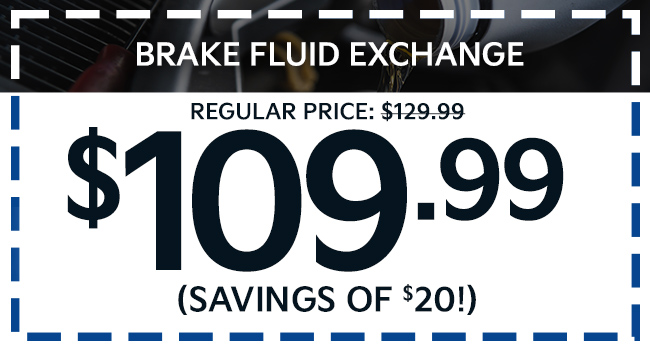 Brake Fluid Exchange