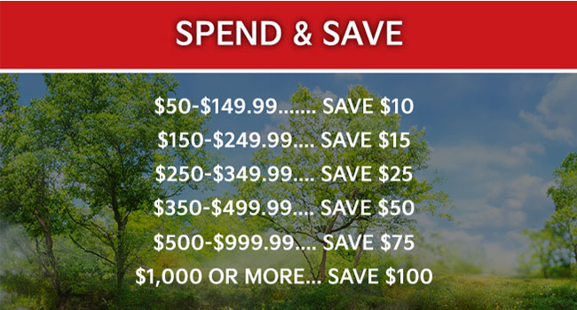 spend and save