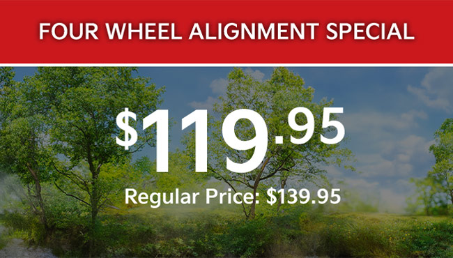 4-wheel alignment special