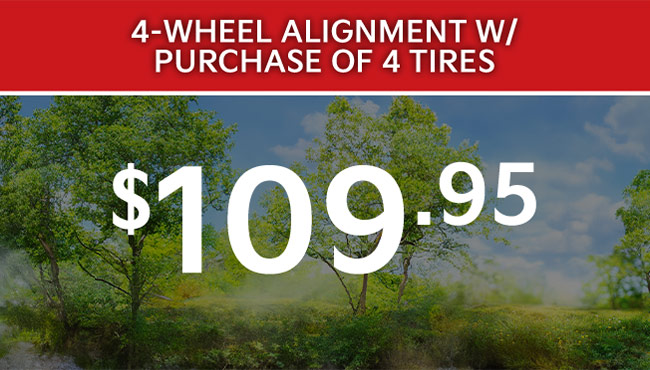 4-wheel alignment special