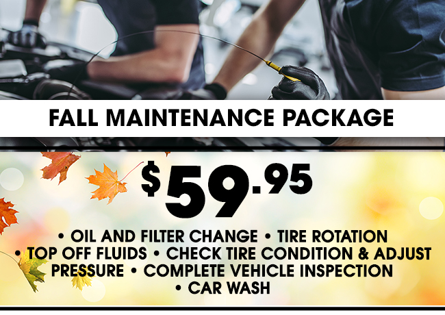 Fall Maintenance Package $59.95