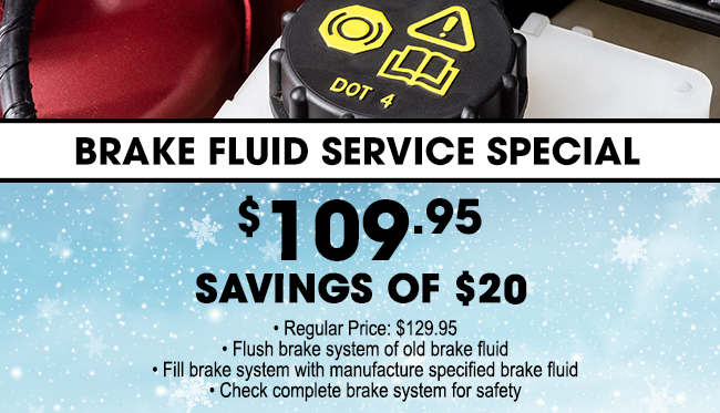 Brake Fluid Service Special