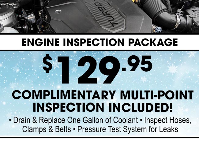 Engine Inspection Package