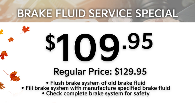 brake fluid service special