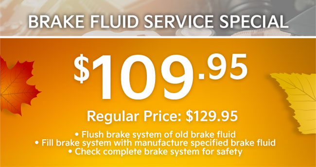 brake fluid service special