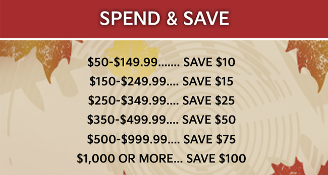 spend and save