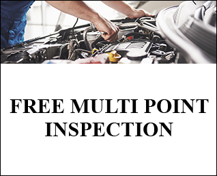 Free Multi Point Inspection