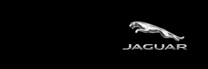 Jaguar of Greenville