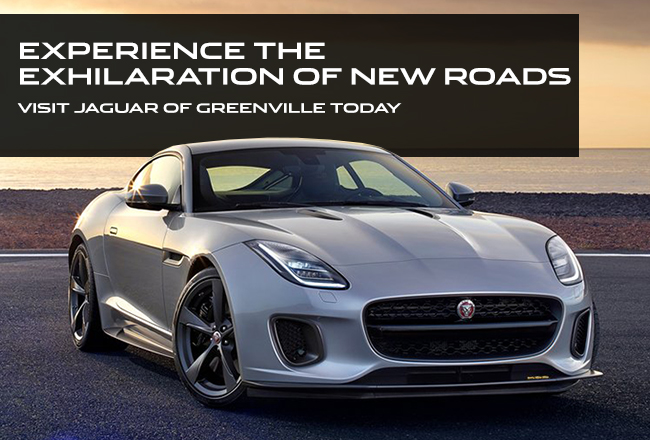 Experience The Exhilaration Of New Roads