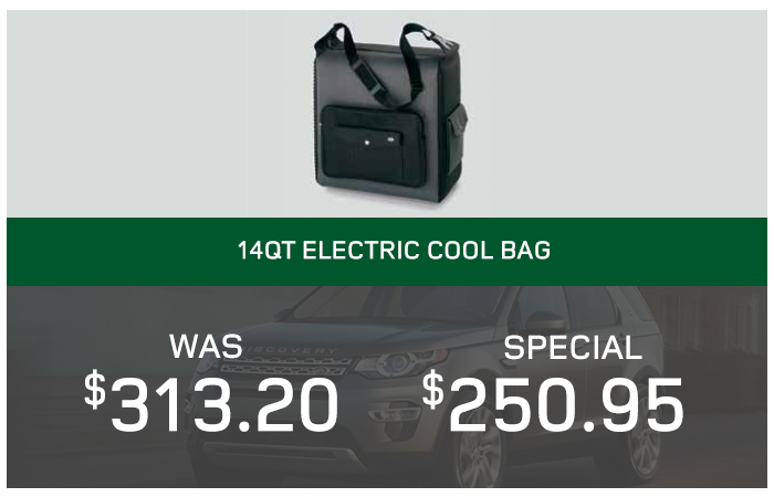 14QT Electric Cool Bag