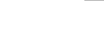 Lamborghini Sarasota Logo