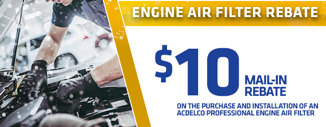 Engine Air Filter Rebate