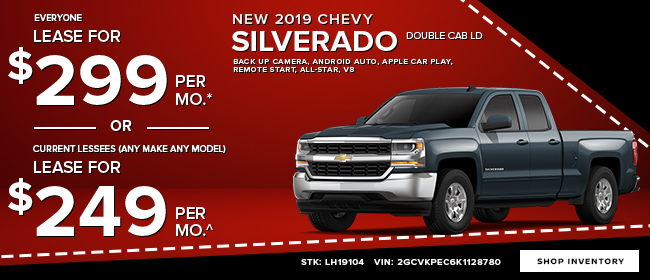 2019 CHEVY SILVERADO 1500 DOUBLE CAB LD