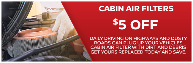 Cabin Air Filters 