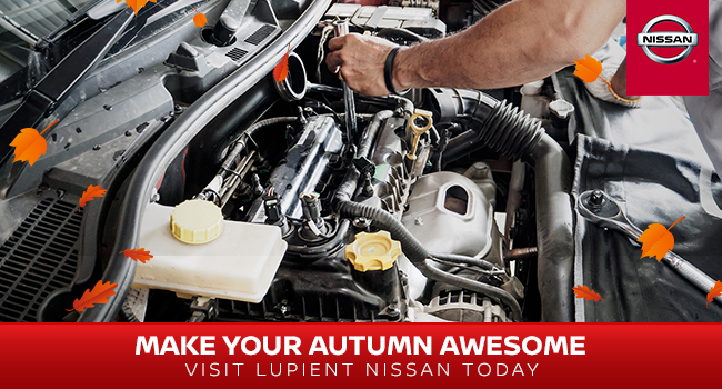 Make Your Autumn Awesome