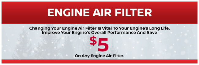 Engine Air Filter