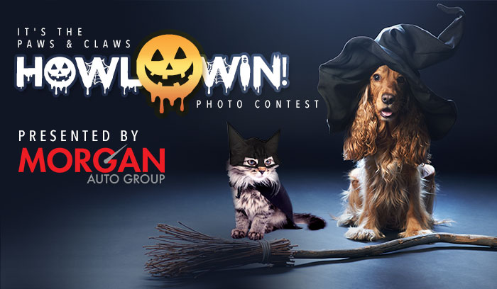 It's The Pas & Claws Howl-O-Win Photo Contest
