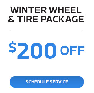 winter wheel and tire package