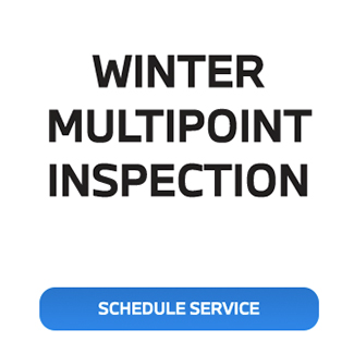 Winter Multipoint inspection