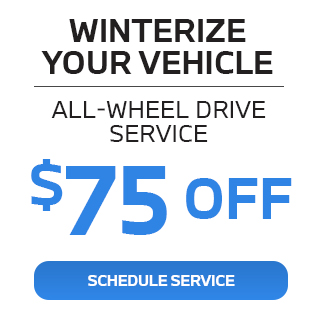 winterize your vehicle