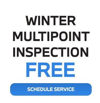 Winter Multipoint inspection