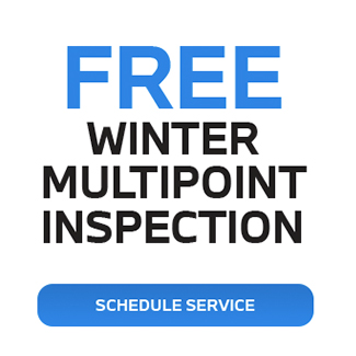 Free Winter multipoint inspection