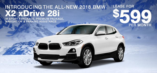 Introducing The All-New 2018 BMW X2 xDrive28i 