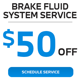 brake Fluid system service