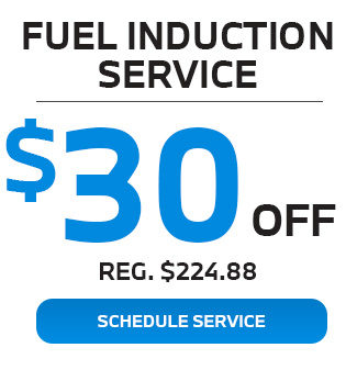 fuel induction services