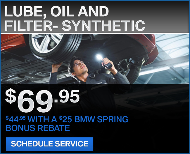 Lube, Oil & FIlter- Synthetic