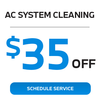 AC System cleaning