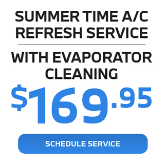 summer time AC refresh service