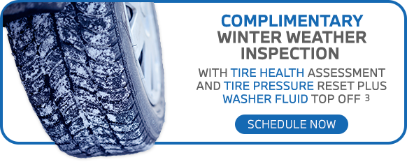 COMPLIMENTARY WINTER WEATHER INSPECTION offer