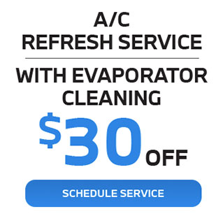 summer time AC refresh service
