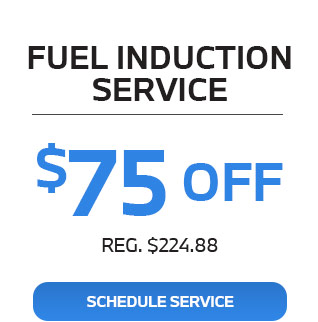 Fuel Induction service