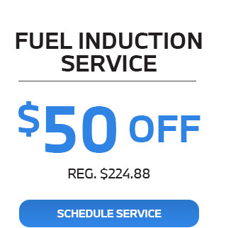 Fuel Induction service