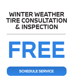 WINTER WEATHER TIRE CONSULTATION & INSPECTION