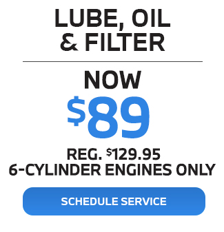 Lube, Oil and Filter Special